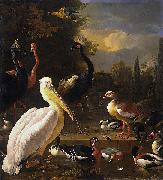 HONDECOETER, Melchior d A Pelican and Other Birds Near a Pool, oil